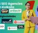 Best SEO Agencies In Kolkata-optimized