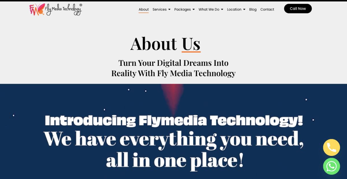 Fly media Best SEO Agencies