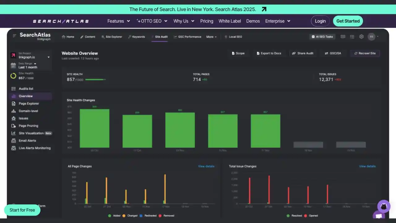 SEO Audit Tool for Agencies