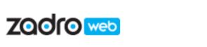 Zaro audit tool