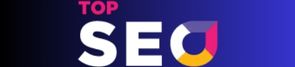 top seo company in sydney